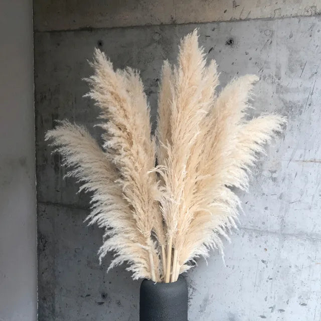 Elegant Pampas Gras Decoratie - natuurlijk gedroogde pluimen - blijft maandenlang mooi zonder onderhoud - huishoudmeester