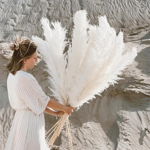 Elegant Pampas Gras Decoratie - natuurlijk gedroogde pluimen - blijft maandenlang mooi zonder onderhoud - huishoudmeester