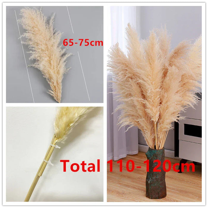 Elegant Pampas Gras Decoratie - natuurlijk gedroogde pluimen - blijft maandenlang mooi zonder onderhoud - huishoudmeester