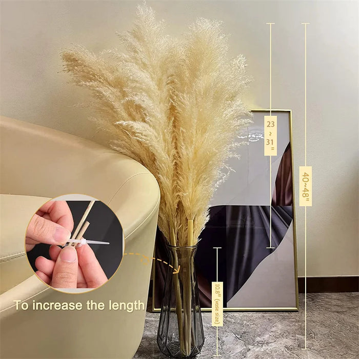 Elegant Pampas Gras Decoratie - natuurlijk gedroogde pluimen - blijft maandenlang mooi zonder onderhoud - huishoudmeester