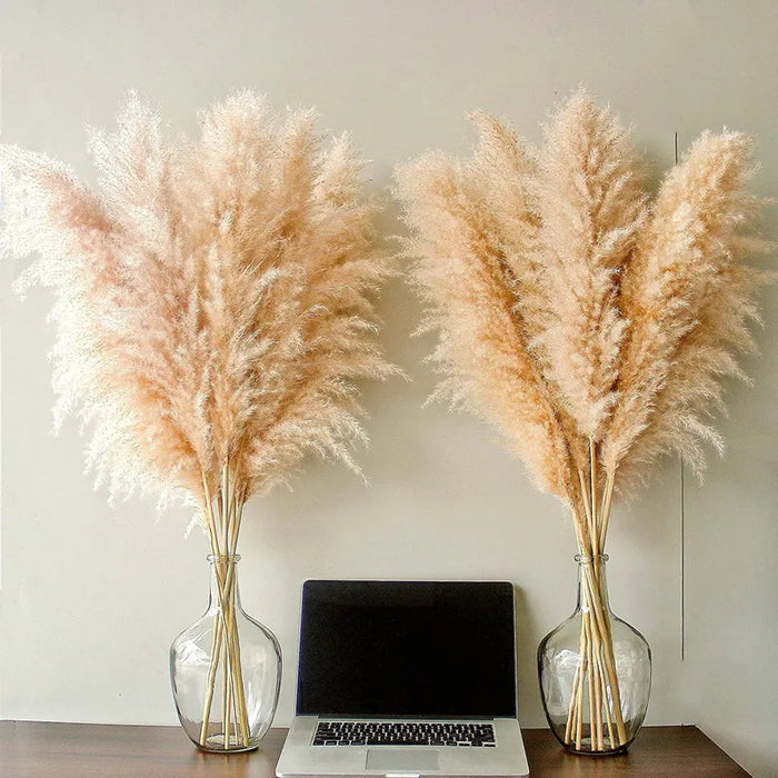 Elegant Pampas Gras Decoratie - natuurlijk gedroogde pluimen - blijft maandenlang mooi zonder onderhoud - huishoudmeester