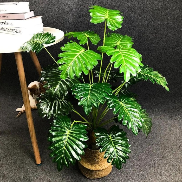 Monstera Fusion Plant - levendige bladeren en betoverende patronen - minimaal onderhoud - 95 cm hoog - huishoudmeester