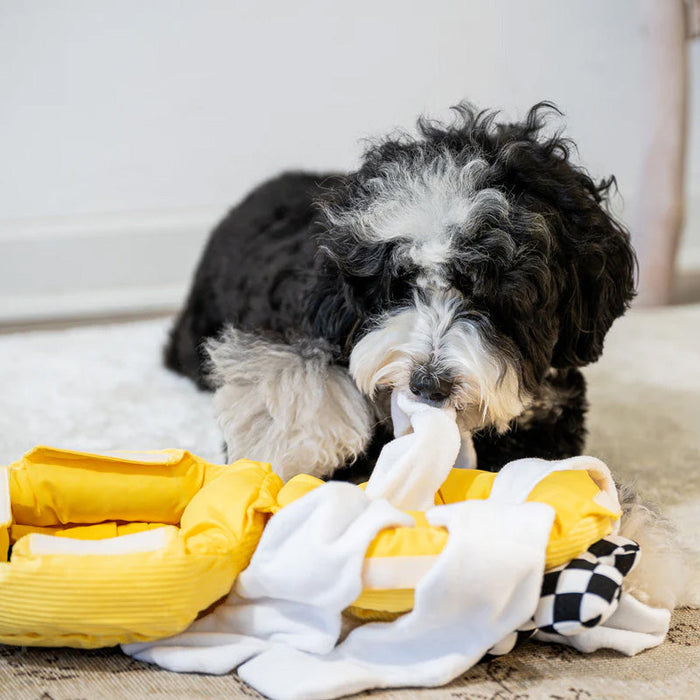 Interactief Kauwspeelgoed voor Honden - ontworpen om snuffelen en verkenning aan te moedigen - huishoudmeester