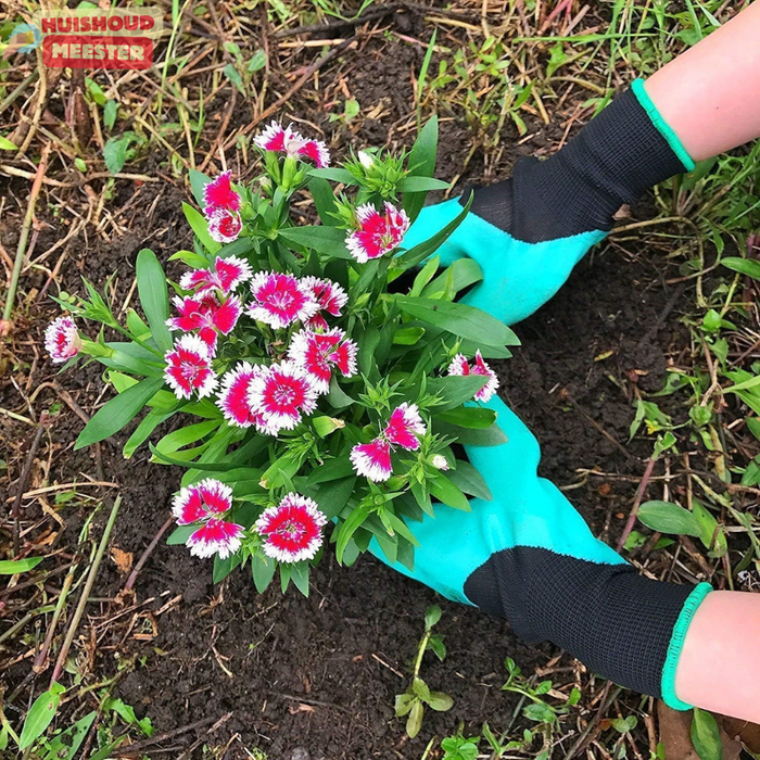 GardenClaws | Handschoenen om te graven, harken en planten