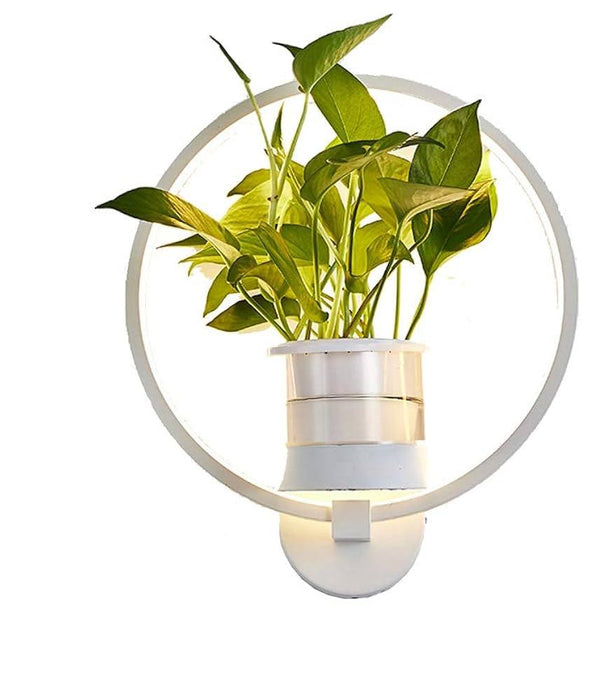 Moderne Wandlamp met Geïntegreerde Plantenhouder - combinatie van verlichting en groen brengt rust en warmte - huishoudmeester