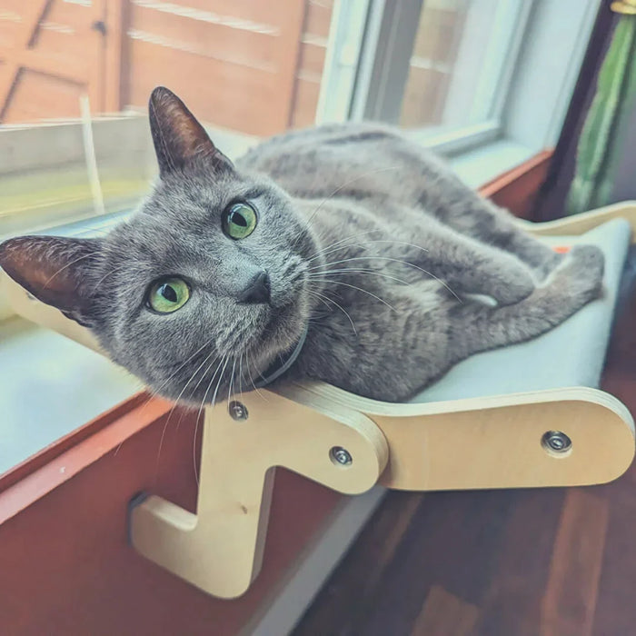 Kattenvenster Lounger - verhoogd platform dat inspeelt op de natuurlijke jacht- en observatie-instincten van je kat - eenvoudige installatie - huishoudmeester