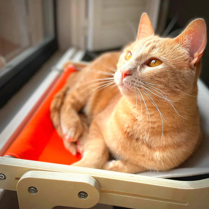 Kattenvenster Lounger - verhoogd platform dat inspeelt op de natuurlijke jacht- en observatie-instincten van je kat - eenvoudige installatie - huishoudmeester