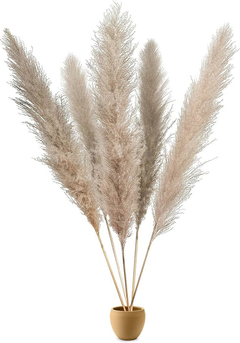 Elegant Pampas Gras Decoratie - natuurlijk gedroogde pluimen - blijft maandenlang mooi zonder onderhoud - huishoudmeester