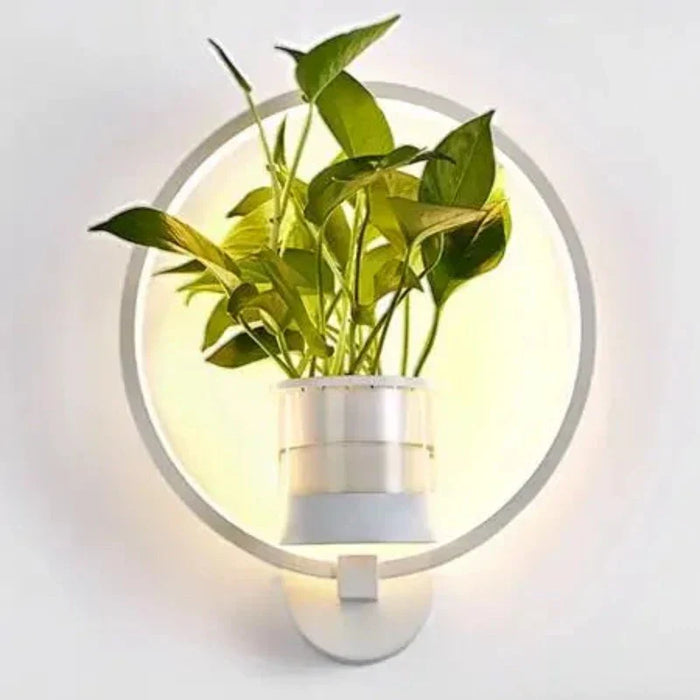 Moderne Wandlamp met Geïntegreerde Plantenhouder - combinatie van verlichting en groen brengt rust en warmte - huishoudmeester