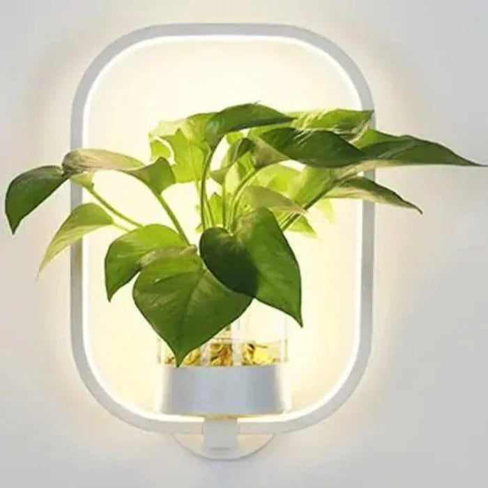 Moderne Wandlamp met Geïntegreerde Plantenhouder - combinatie van verlichting en groen brengt rust en warmte - huishoudmeester