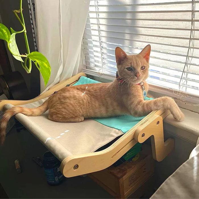 Kattenvenster Lounger - verhoogd platform dat inspeelt op de natuurlijke jacht- en observatie-instincten van je kat - eenvoudige installatie - huishoudmeester